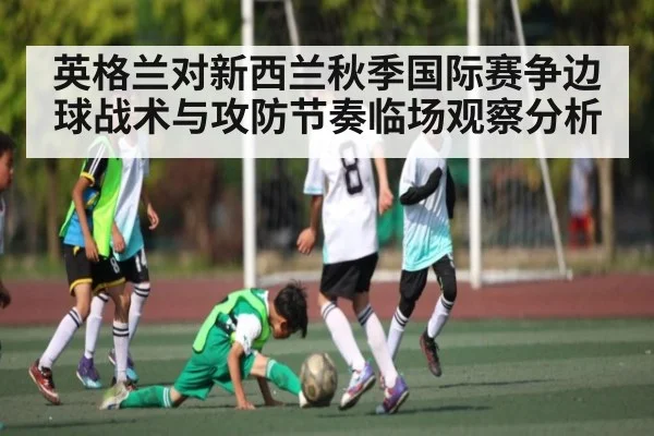 英格兰对新西兰秋季国际赛争边球战术与攻防节奏临场观察分析